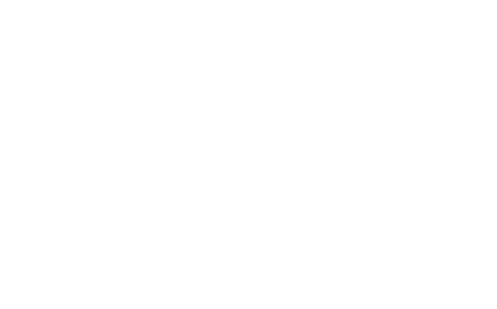 The Tāmaki Times